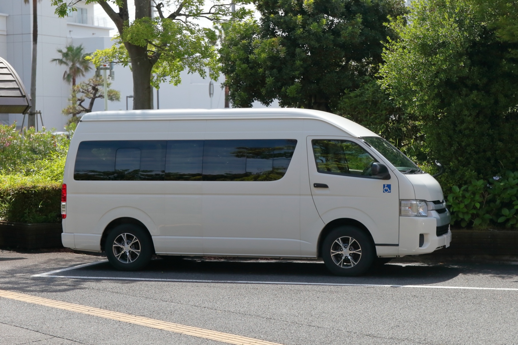 3499605_m
